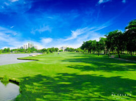 31.The Royal Gems Golf and Sport Club04