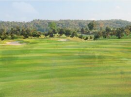 5.SILKY OAK COUNTRY CLUB